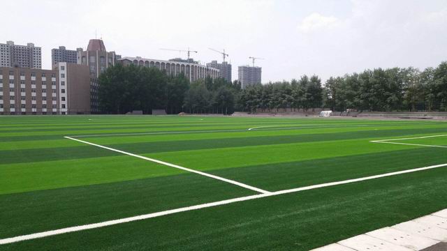 人工草坪足球场